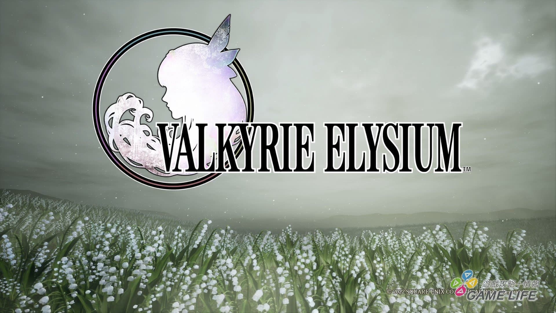 VALKYRIE-ELYSIUM_20220929162115.mp4_snapshot_00.41.829