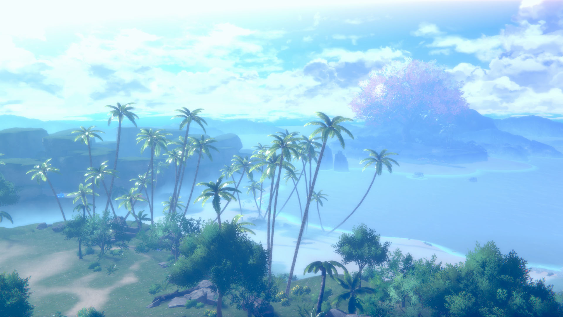 029_field1