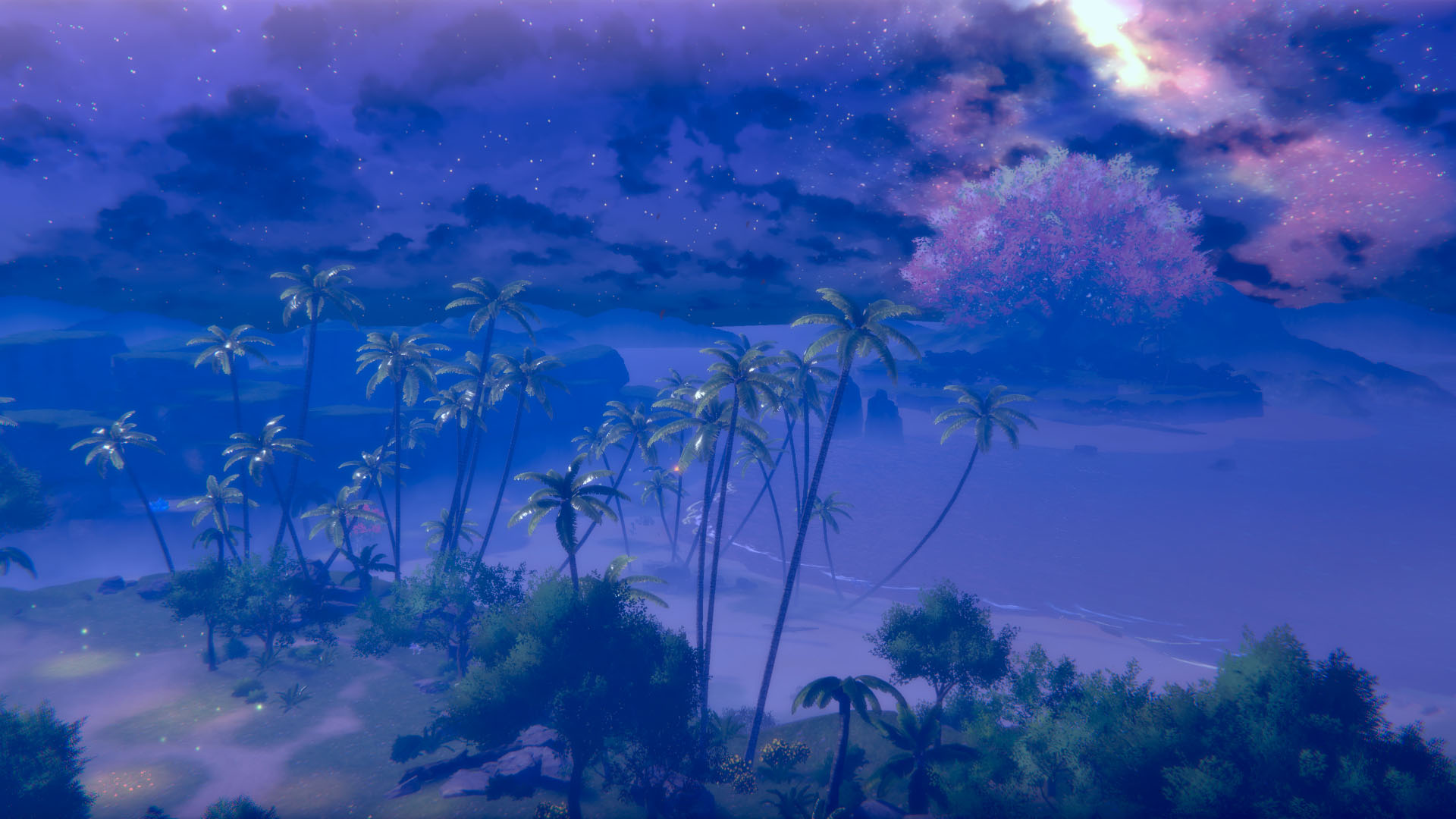 030_field2