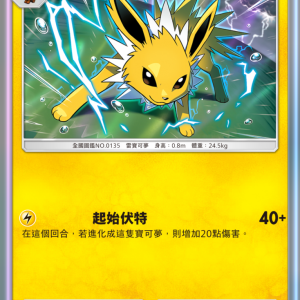 05_雷伊布卡牌