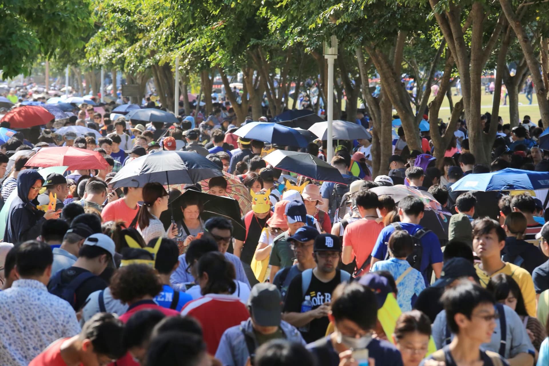 2018-Pokémon-GO-Safari-Zone-in-Tainan-資料照3--臺南市政府觀光旅遊局-提供