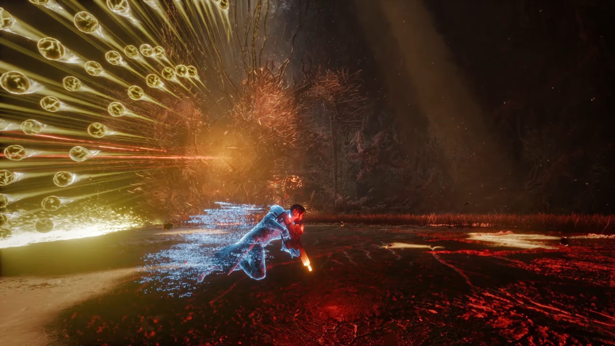 52bc888d14688d5551bac8f5791wt5e5