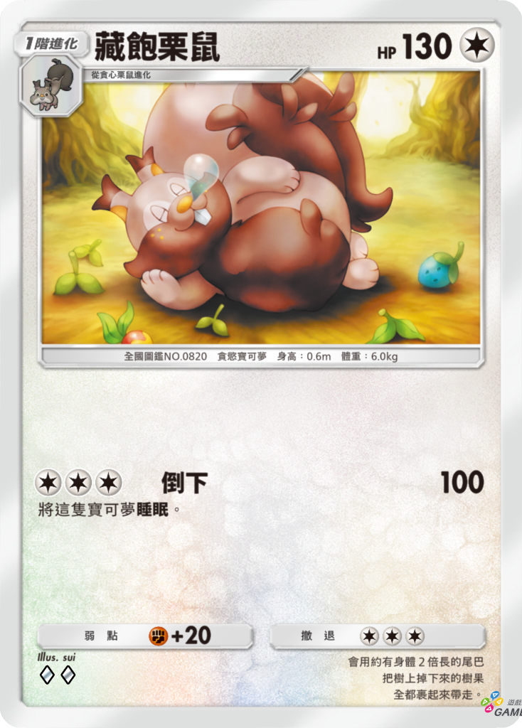 8_藏飽栗鼠