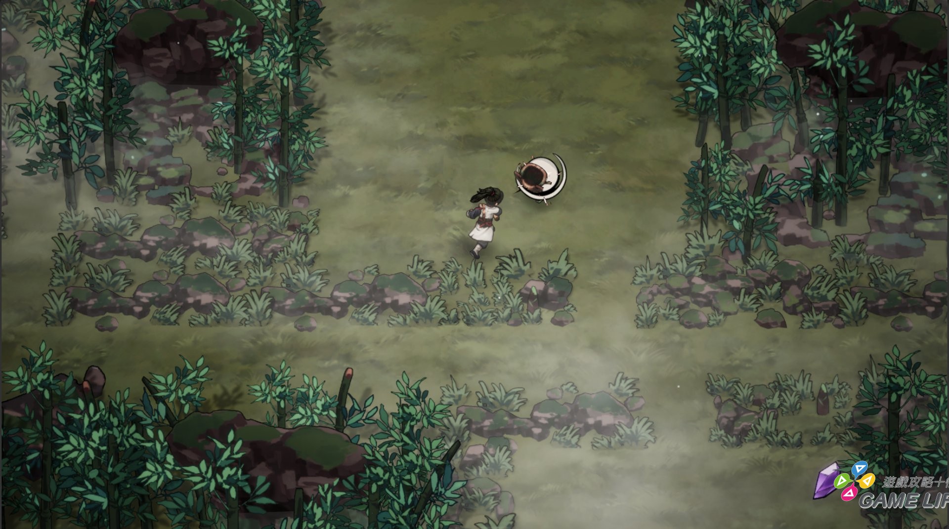 bamboo grove