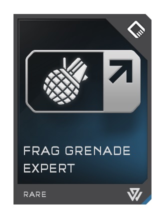 frag-expert-93de8a0c06914986a5fa1f430f01956c.jpg