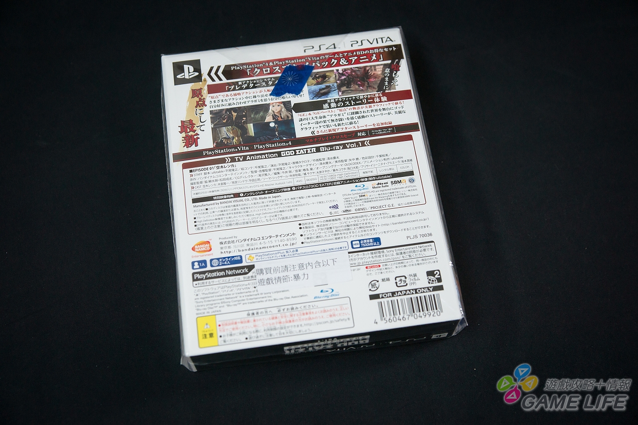 DSC04791.jpg
