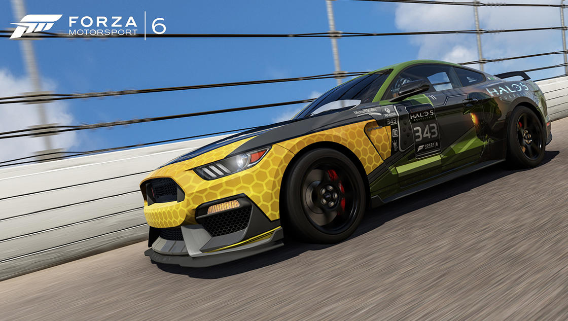 2959416-forzahalo1.jpg