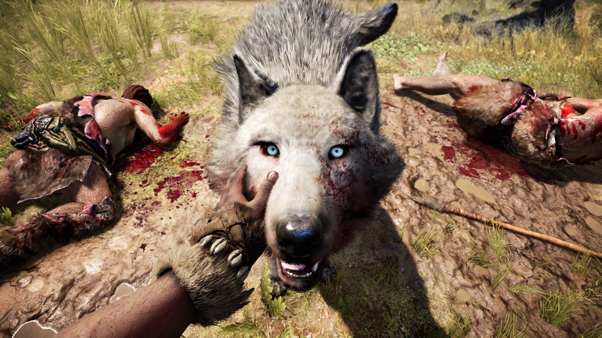 FCP_Screen_Pet_Wolf_BeastMaster_Reveal.jpg