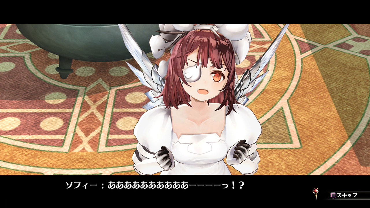 dlc_02_zoom04b.jpg