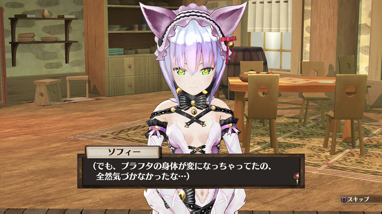 dlc_03_zoom01c.jpg