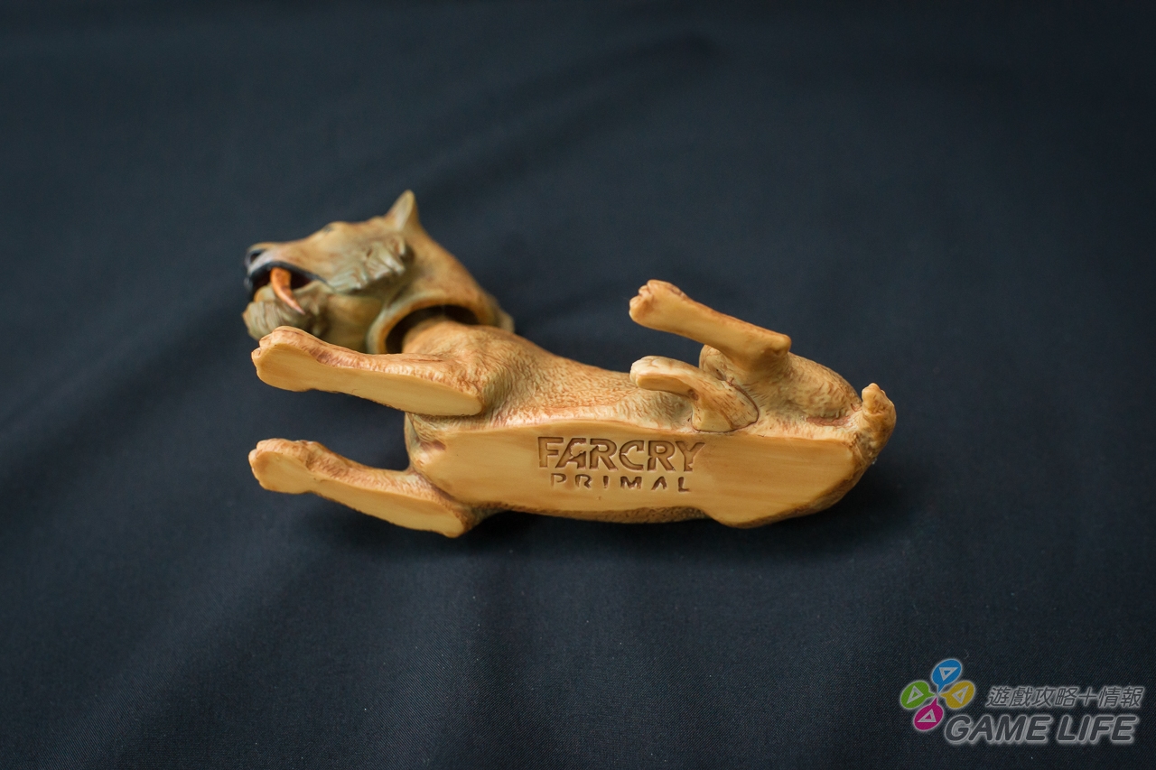 DSC00596.jpg