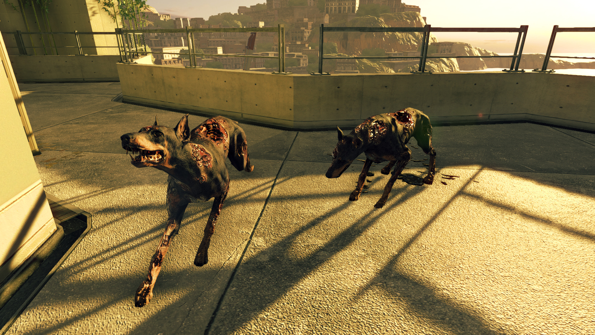 Cerberus.jpg