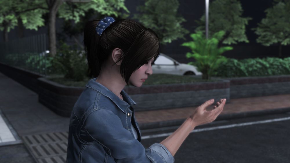 006.jpg