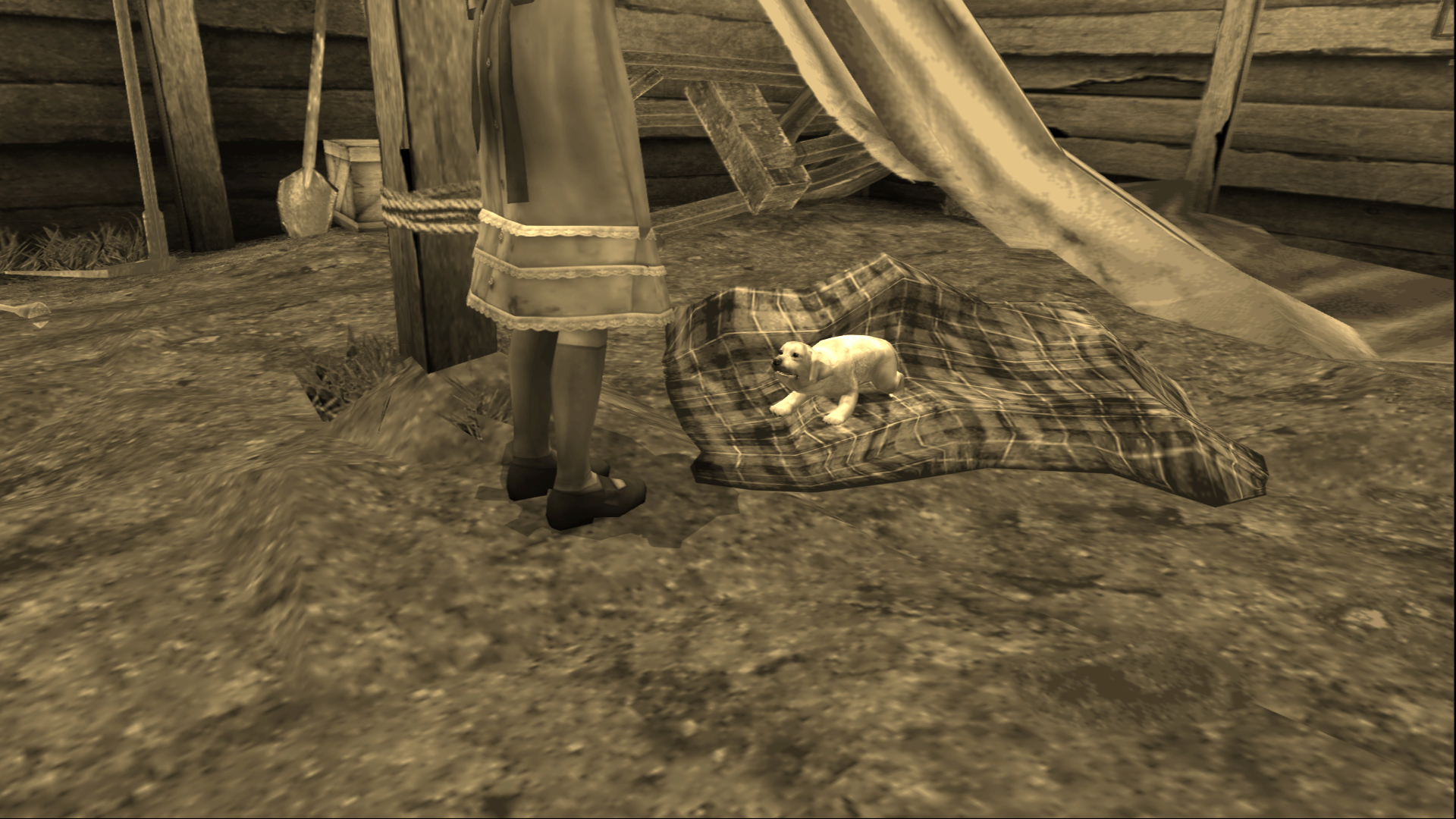 PuppyBrown.jpg