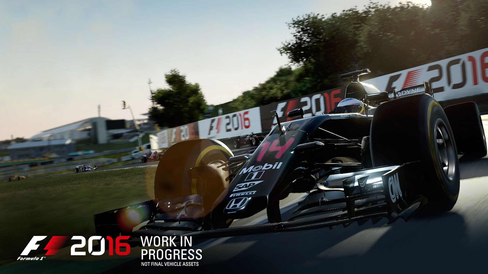 F1_2016_May_010_WM.JPG