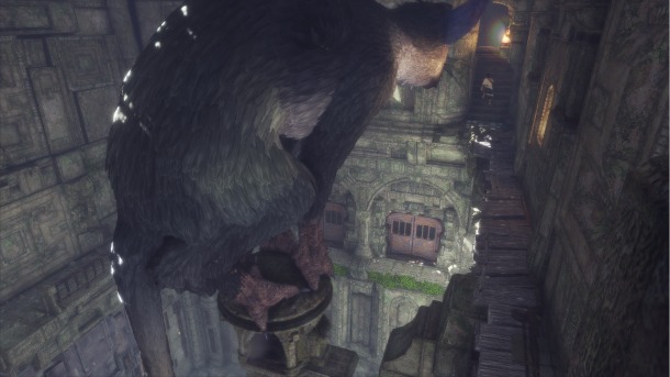 thelastguardian3610tgs.jpg