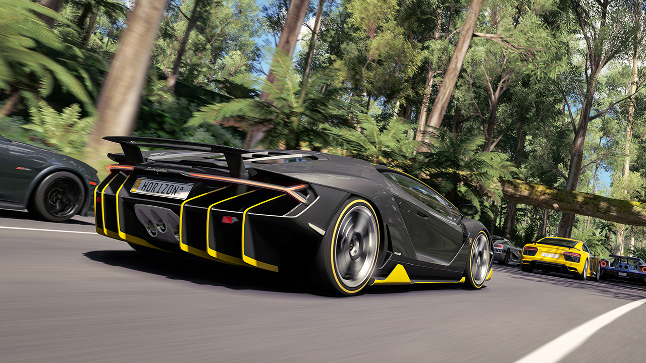 FH3_1.jpg