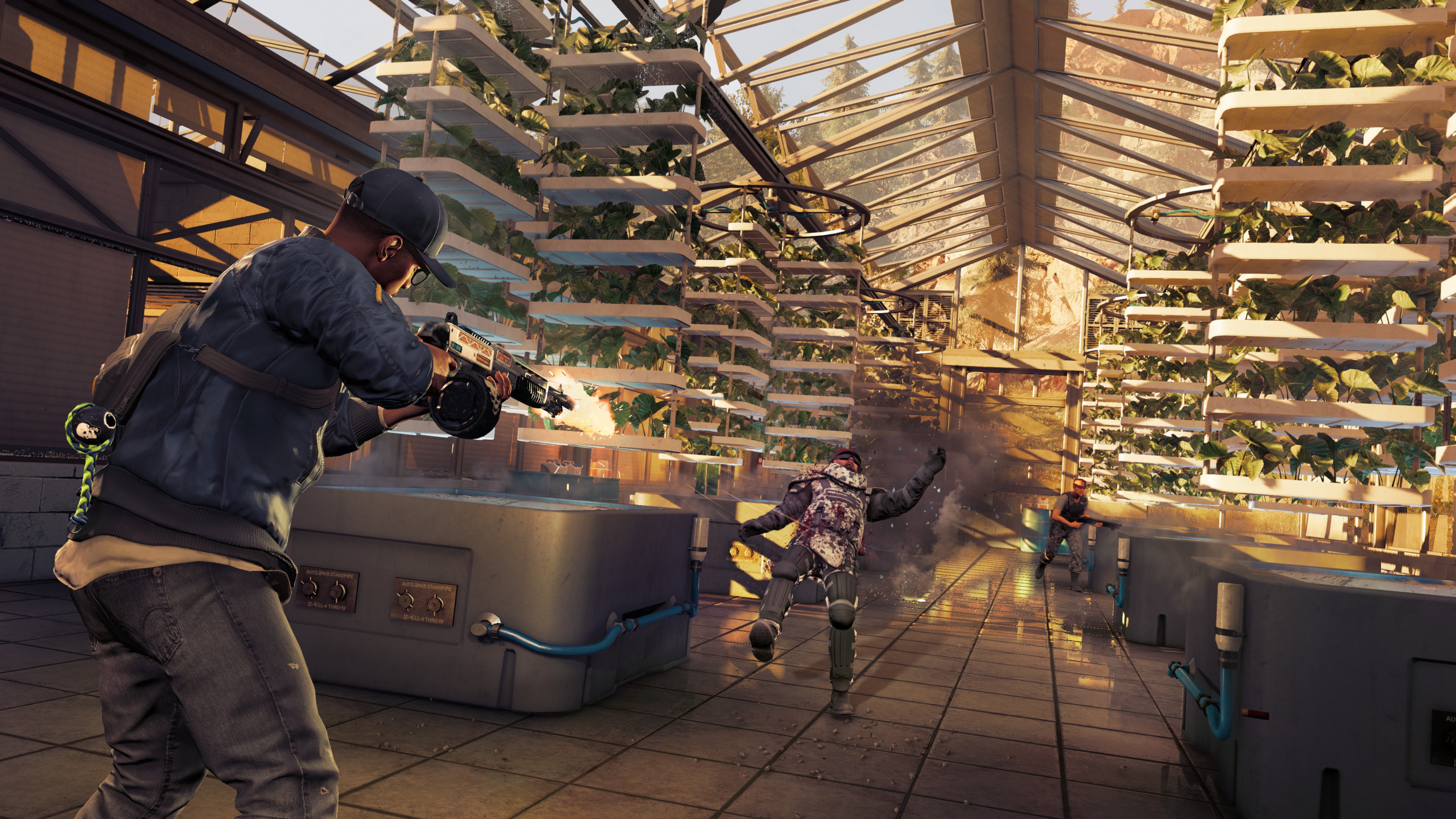 WD2_SC5_PC_Reviews_Greenhouse - Copy.jpg