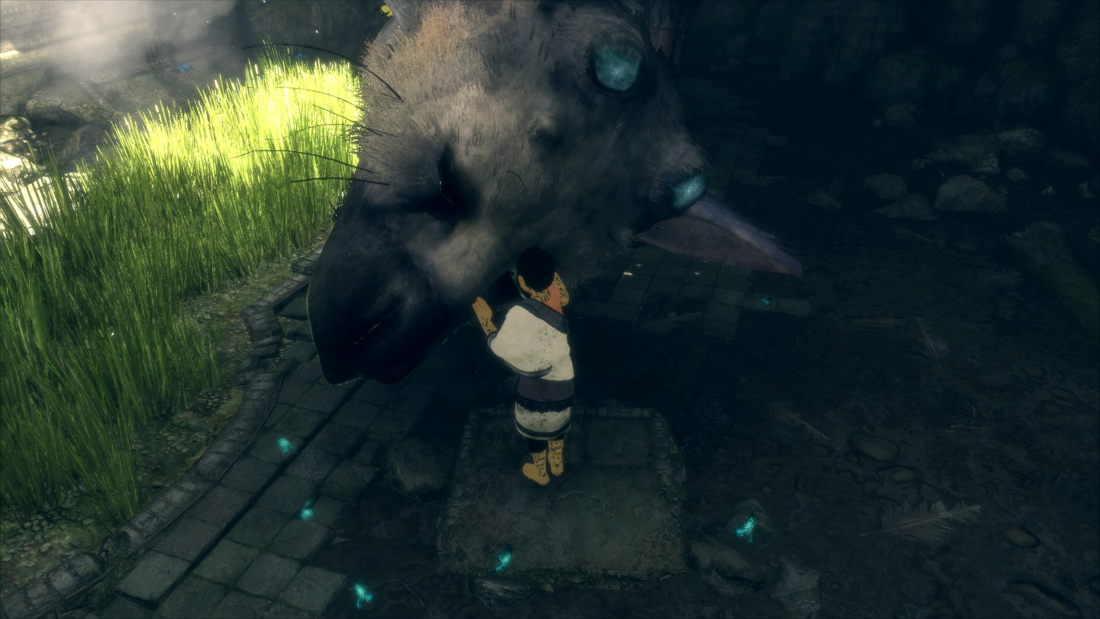 3165649-screenshot_the_last_guardian_00044.jpg