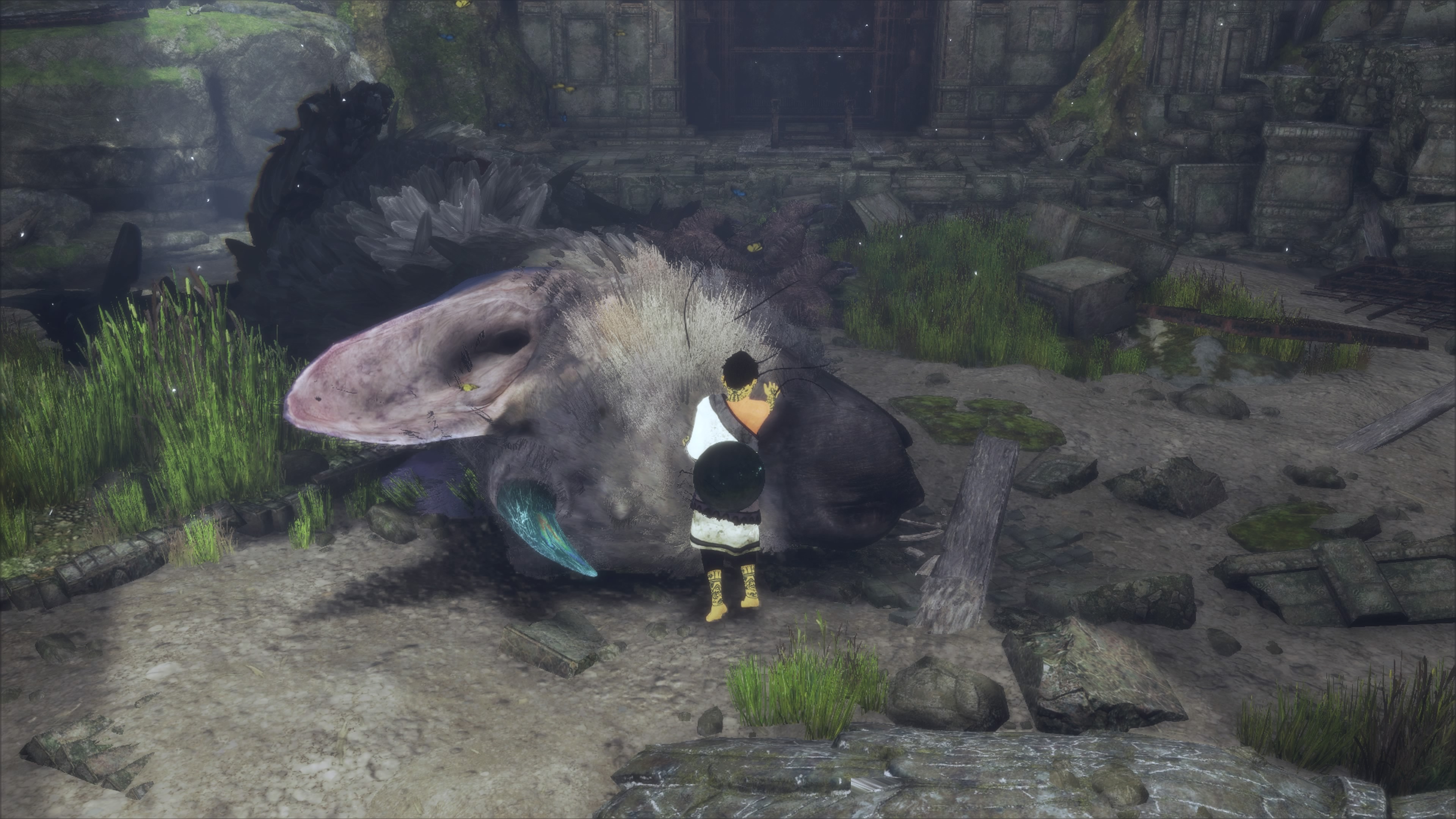 3165659-screenshot_the_last_guardian_00039.jpg
