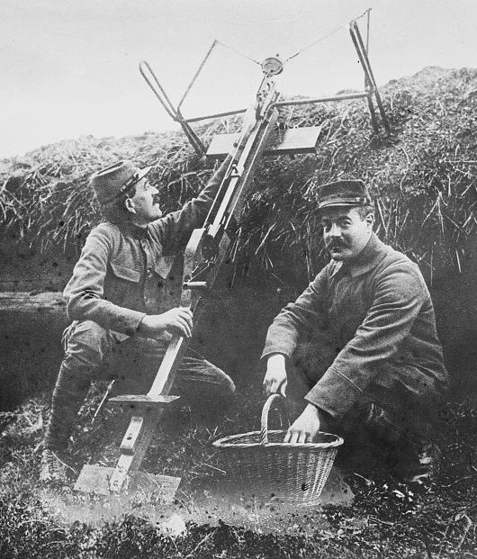 Sauterelle_1915.jpg