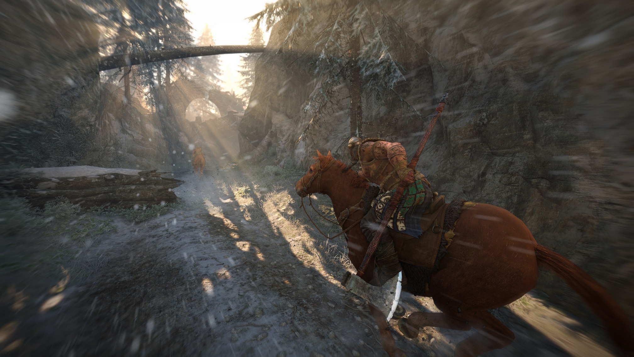 FH_Screenshot_Story_Mode_Viking2.jpg