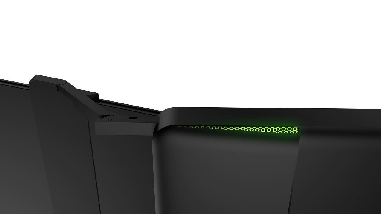 Cerb_Francine wing detail back2.jpg