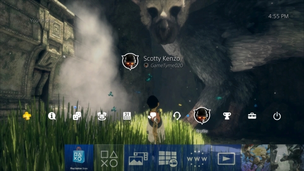 PS4-450_02-03-17_002.jpg