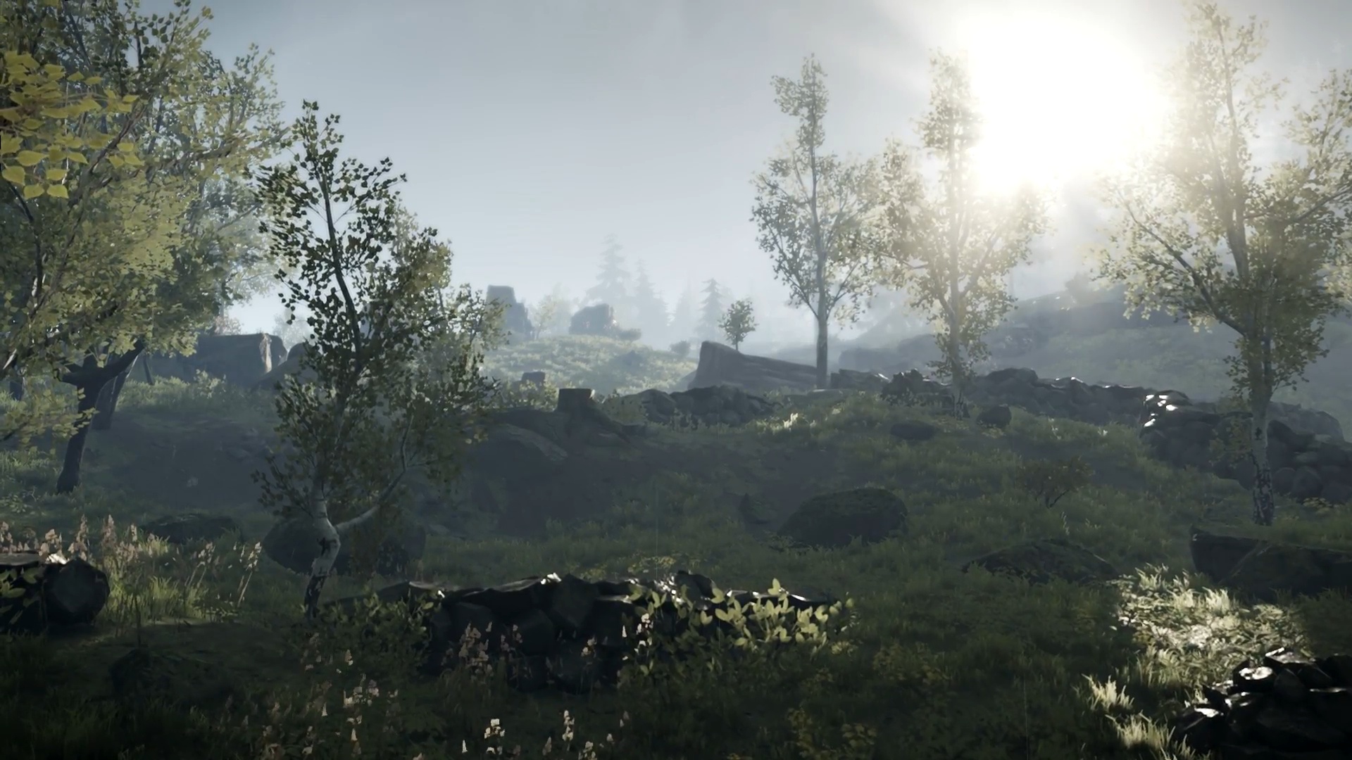 ScreenShot-VideoID-5RfKBo_S-Cg-TimeS-31.jpg