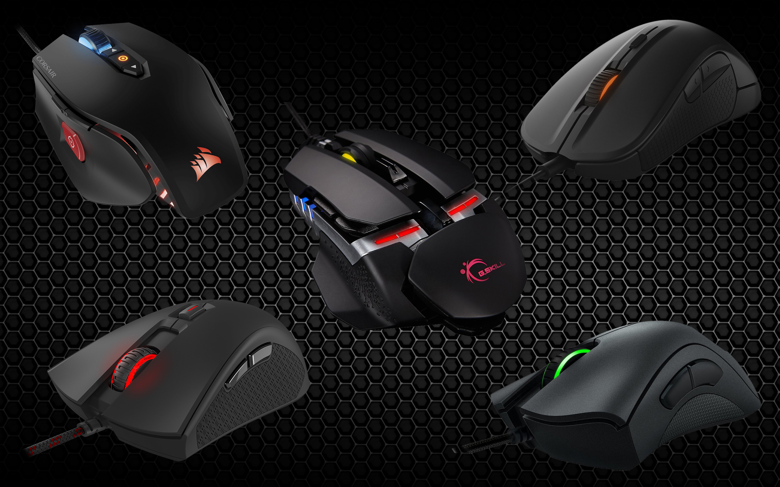 mice.jpg