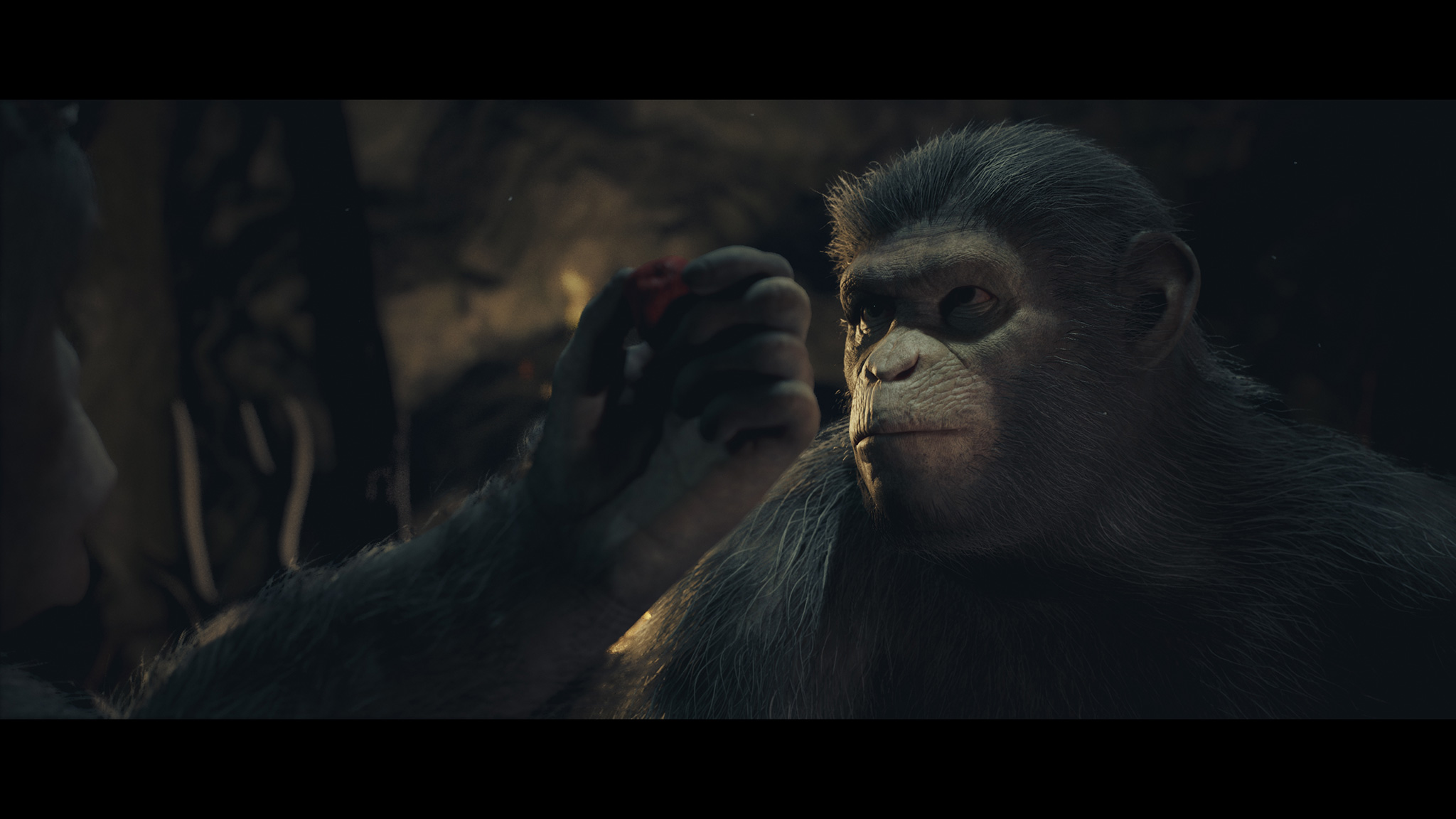 Planet-of-the-Apes-Last-Frontier-13.jpg