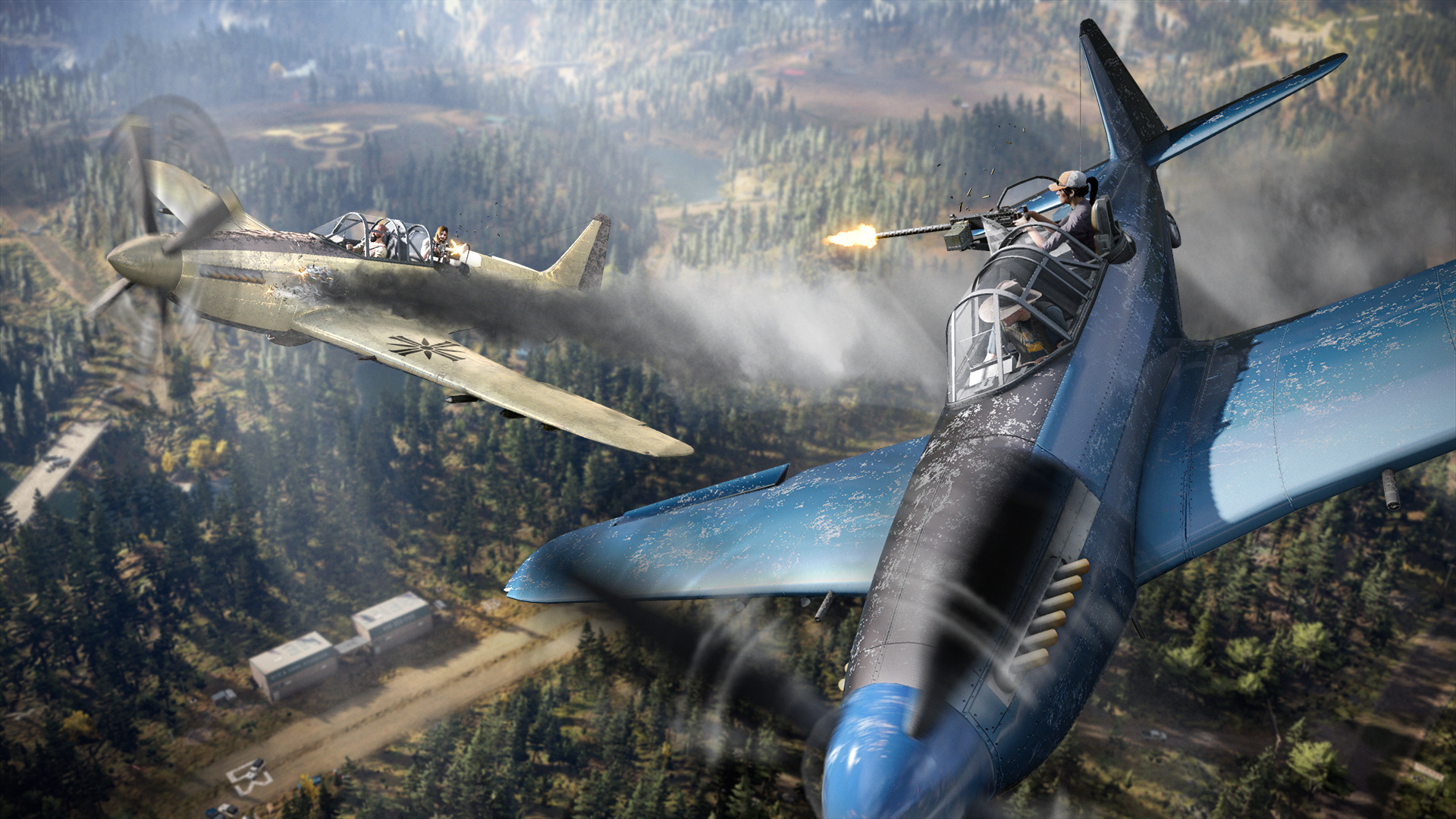 FC5_Screenshot_Coop_Plane_1080p_1509381153.jpg