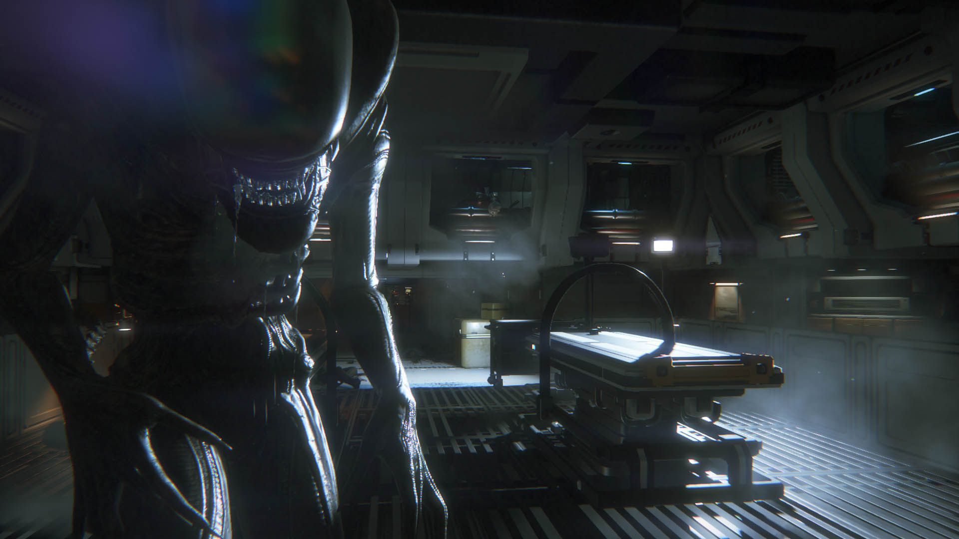 AI_LAUNCH_SCREEN010_1411636920.0.jpg