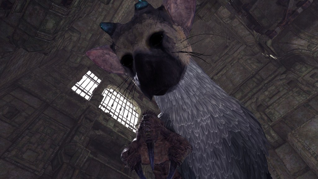 VR_trico_05.jpg
