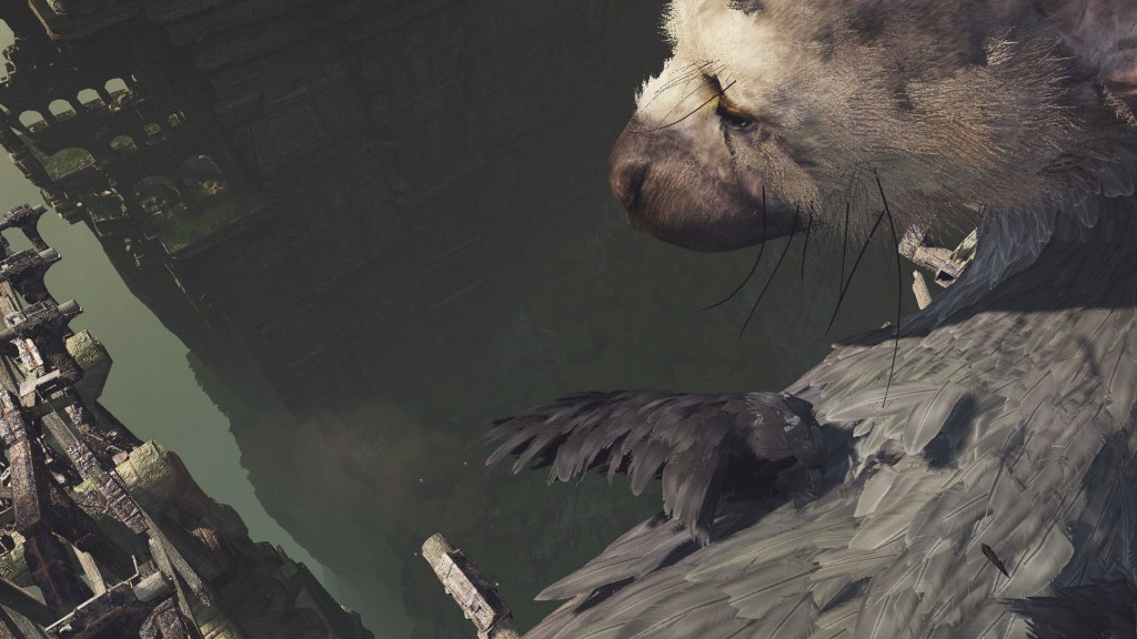VR_trico_10.jpg