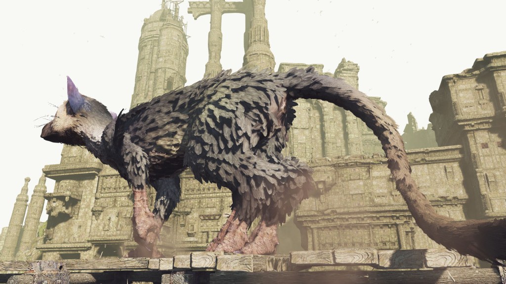 VR_trico_13.jpg