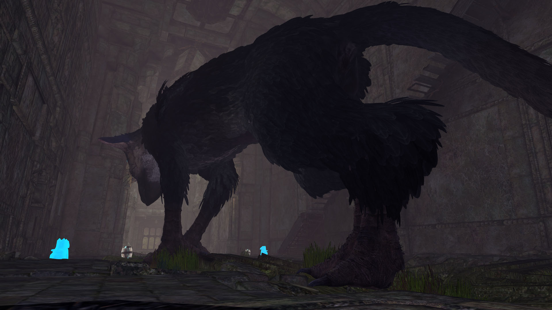 VR_trico_07.jpg