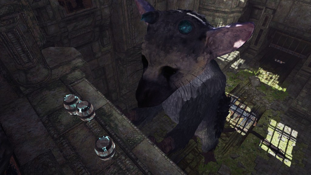 VR_trico_02.jpg
