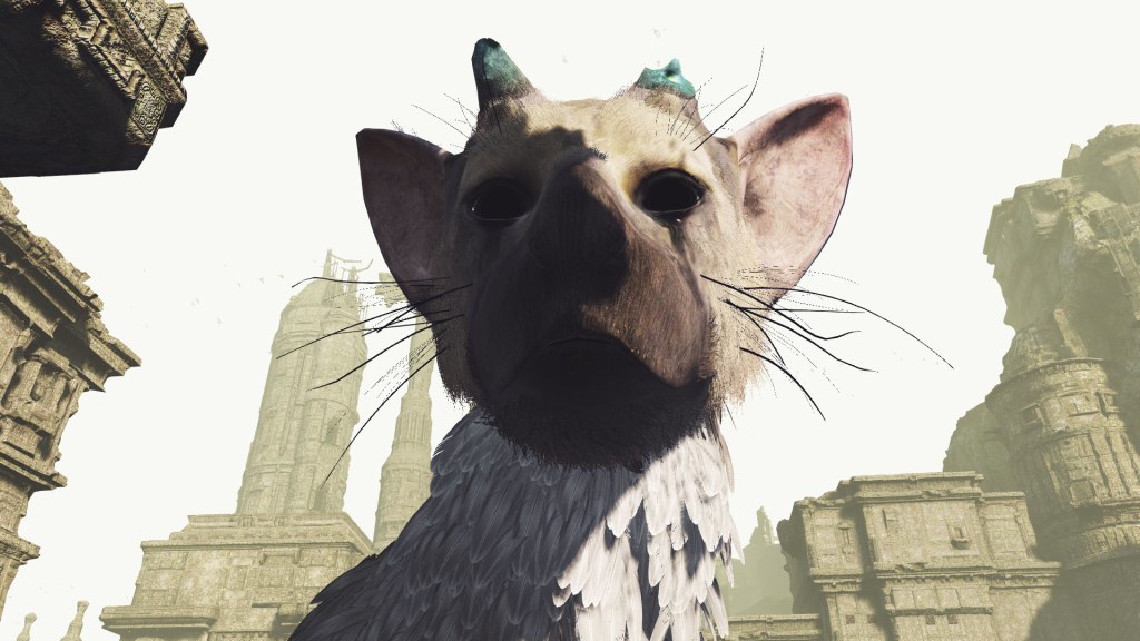 VR_trico_01.jpg