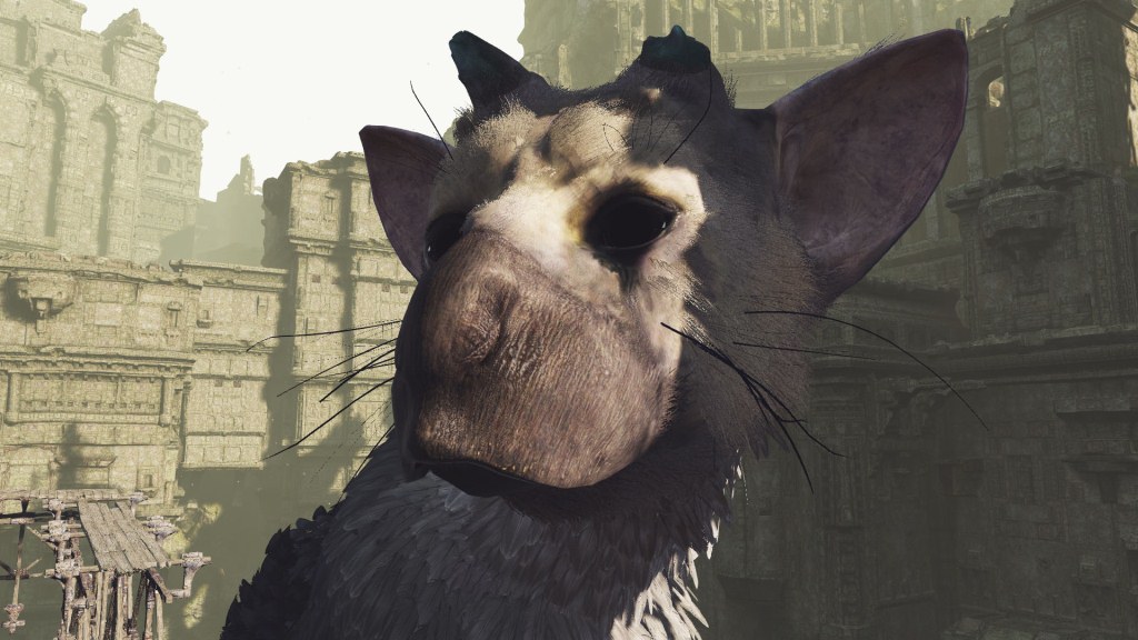 VR_trico_03.jpg