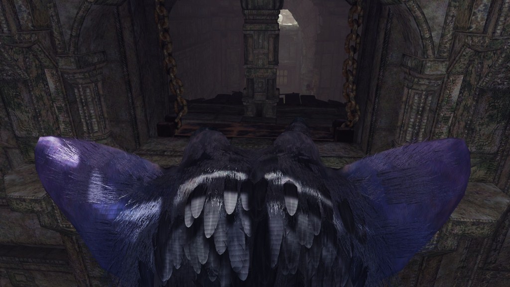 VR_trico_04.jpg
