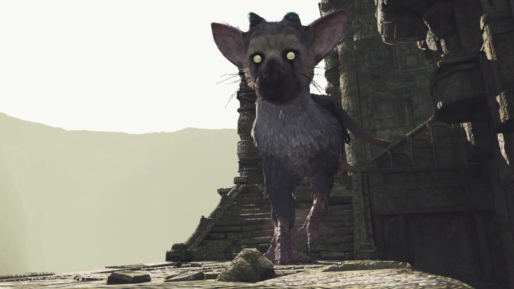 VR_trico_14.jpg