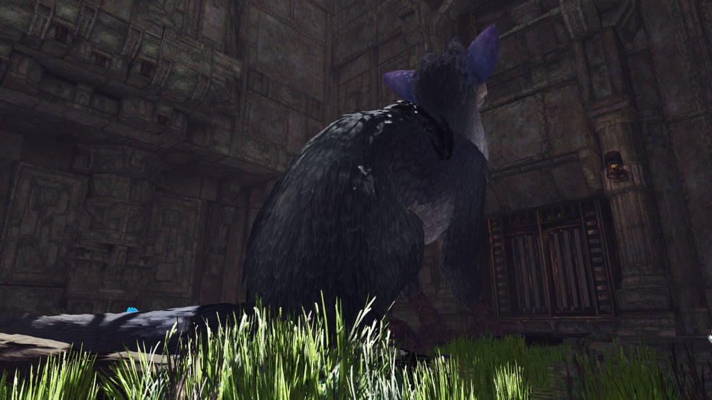 VR_trico_06.jpg