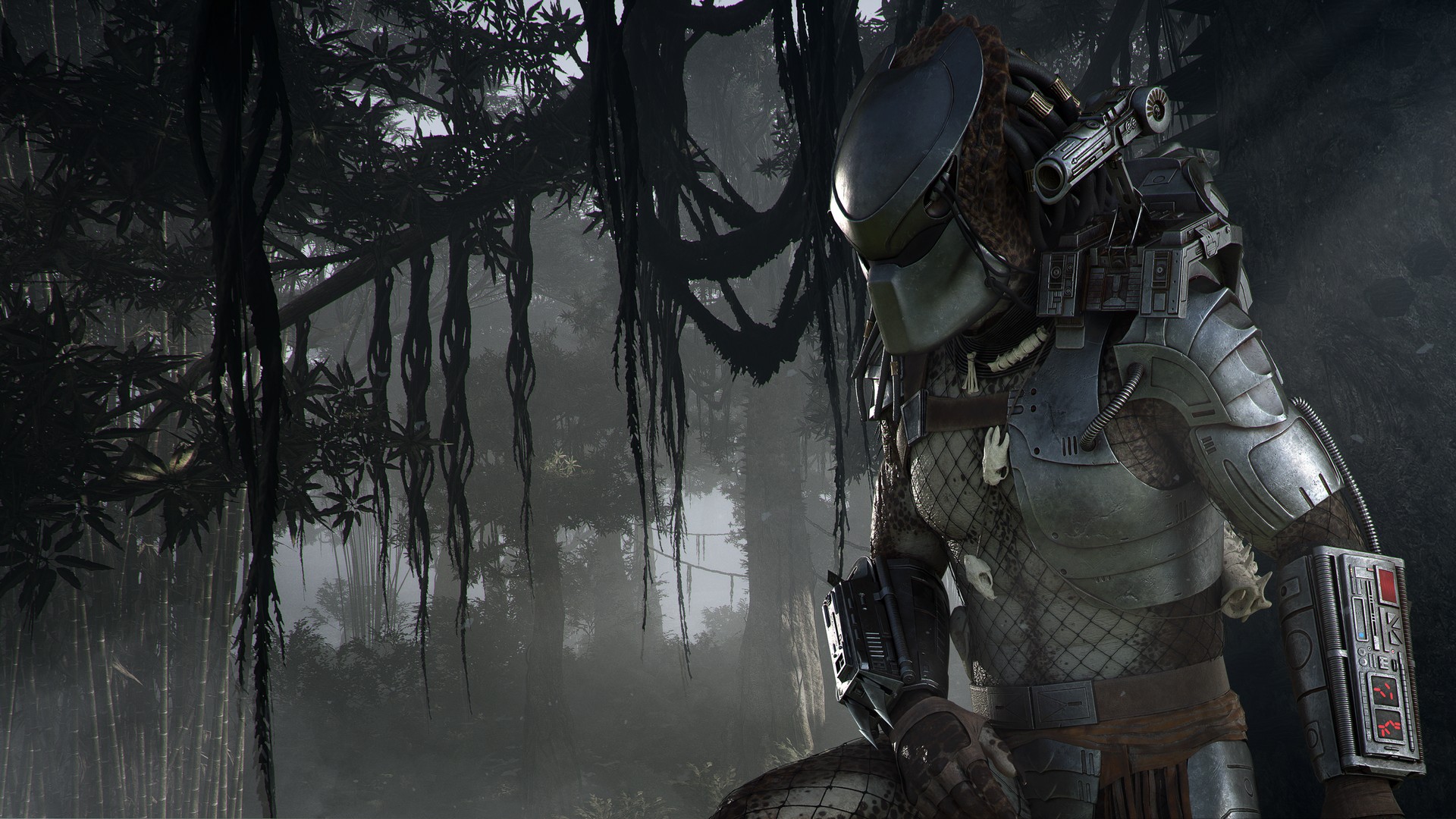 GRW_Predator_KA_PredatorTree_171213_6pm_CET_1513161514.jpg