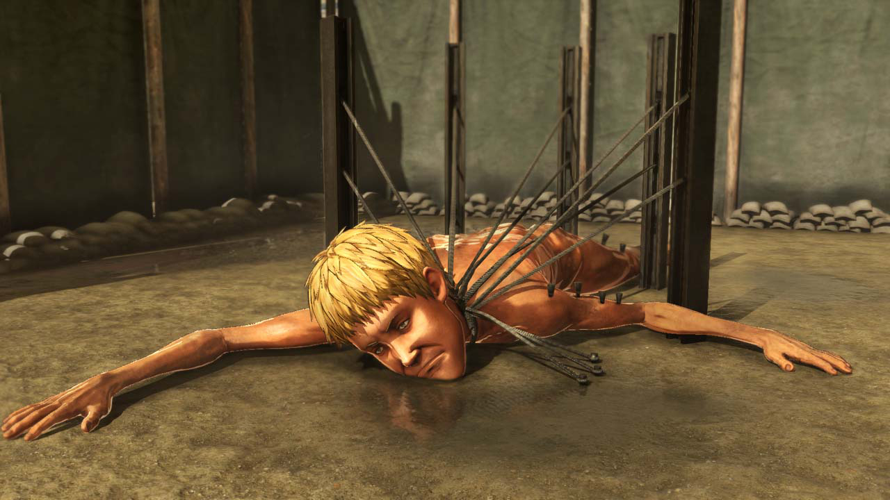 009.jpg