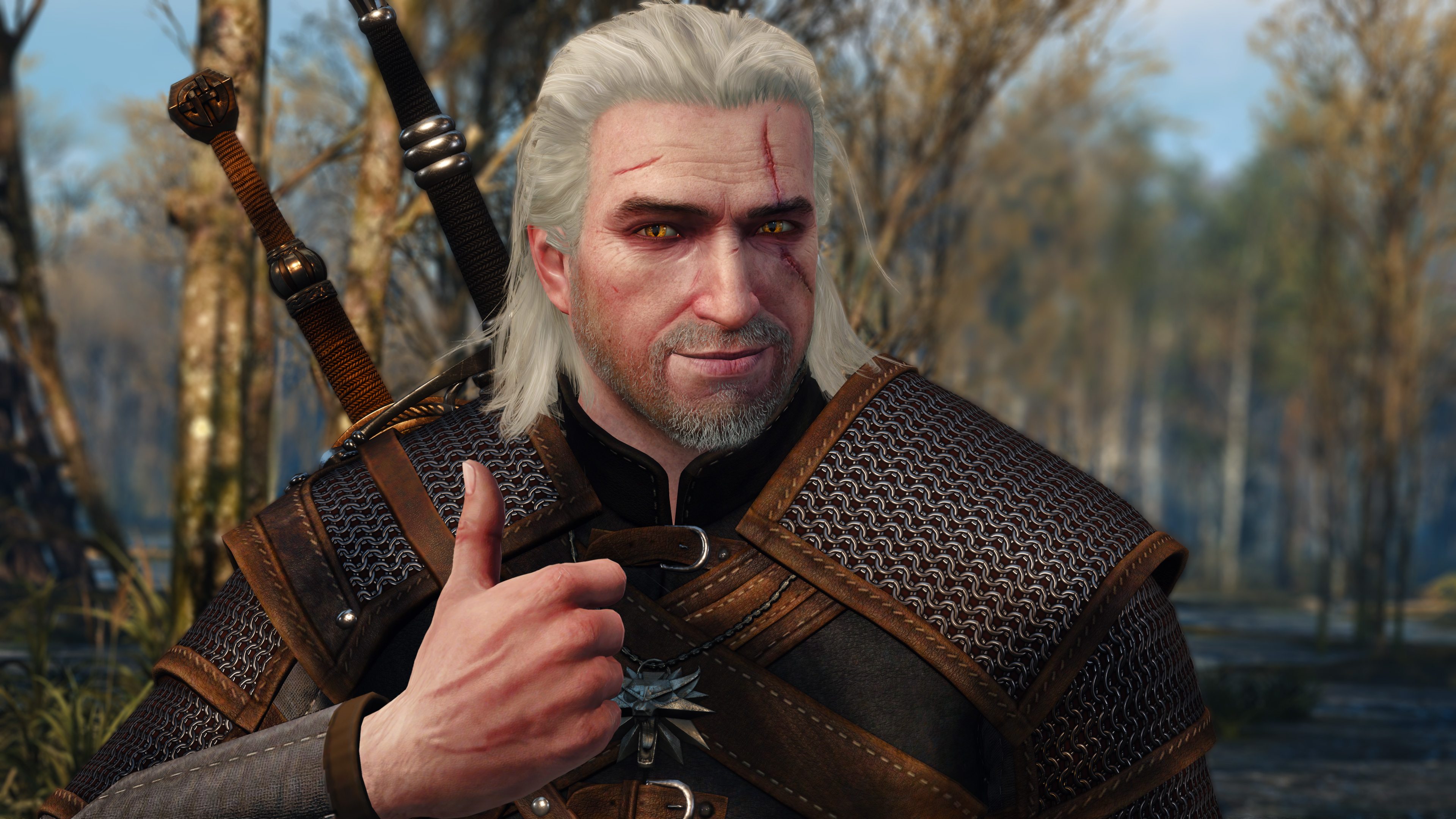 geralt-thumbs-up.jpg