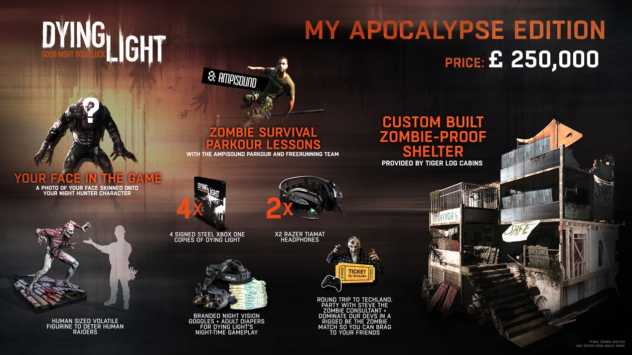 DYING LIGHT.jpg