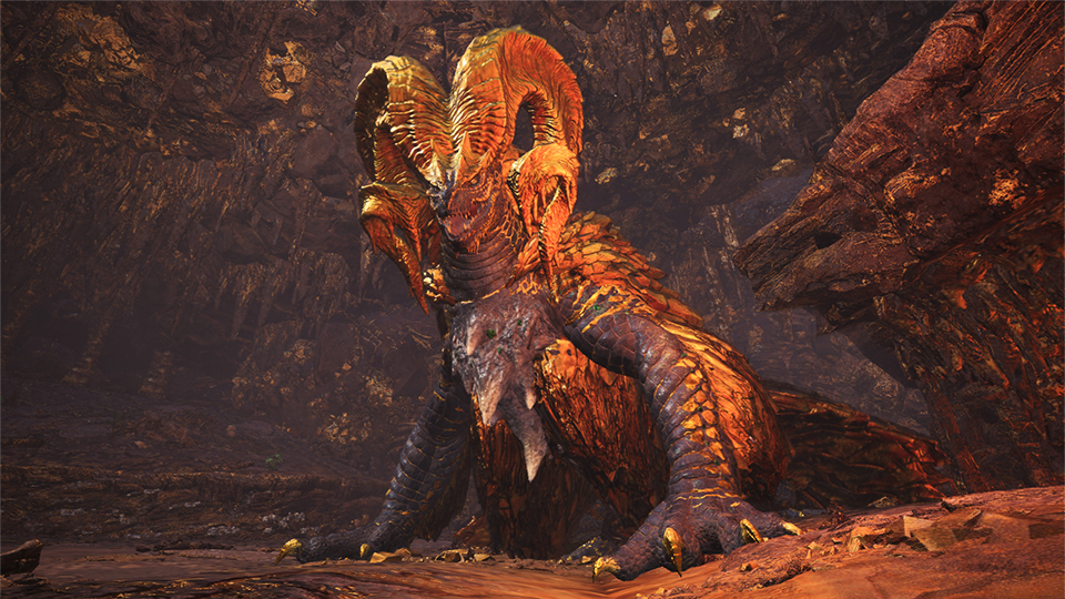 003.jpg
