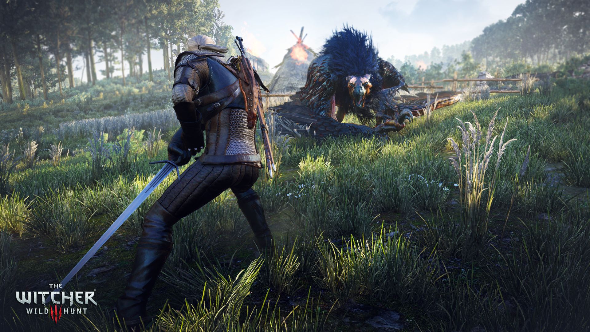 witcher-3-1-11.jpg