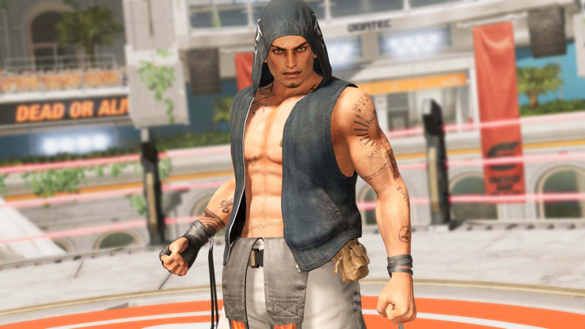 13_DOA6_rig_pose_fix.jpg